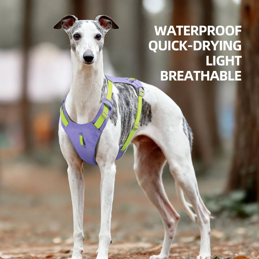 Escape Proof Dog Harness for Small Medium Large Dogs