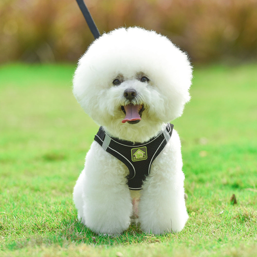 Breathable Reflective Dog Harness