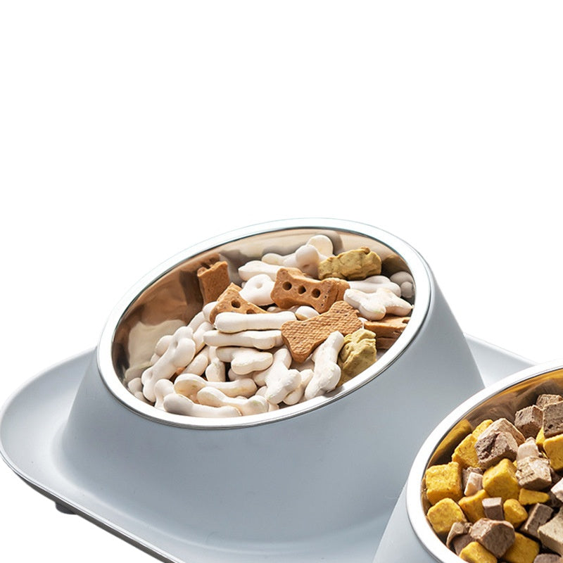 Stainless Steel Pet Bowls Anti-Spill Double Bowls for Dogs & Cats, Detachable Buckle Design, Neck Protective Feeding & Water Bowls