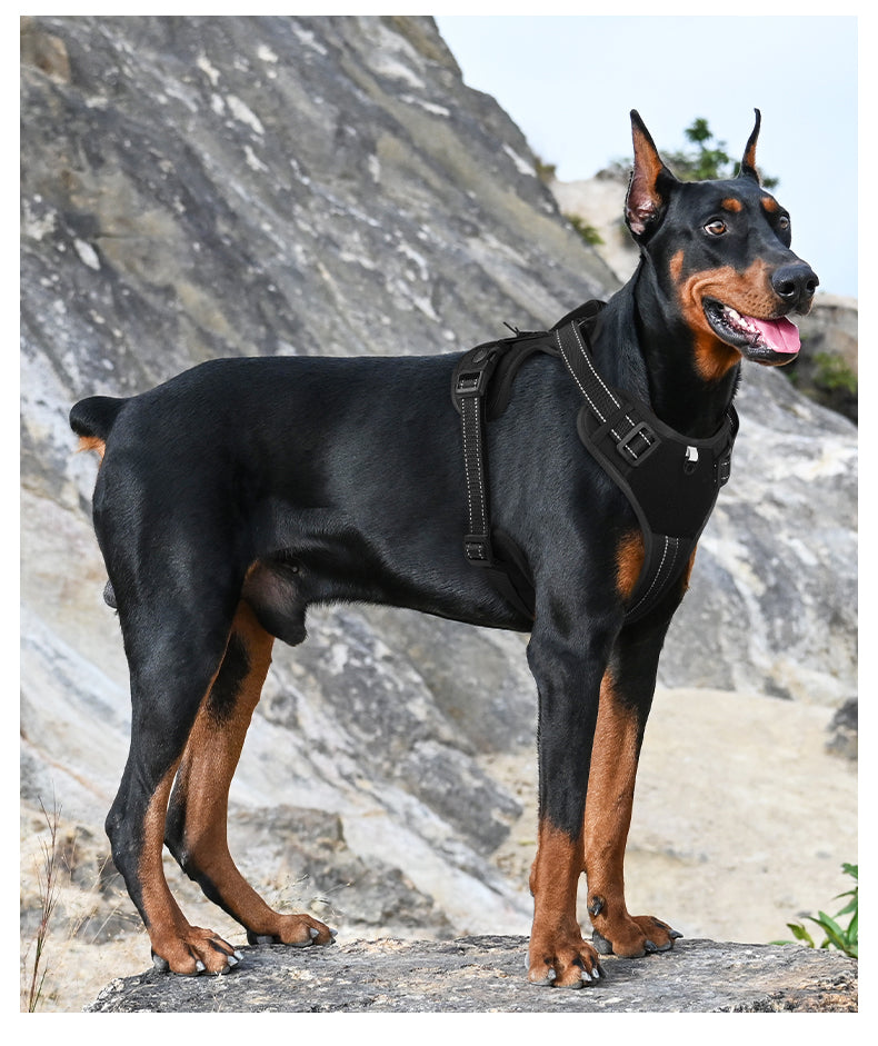 Tactical No Pull Dog Harness