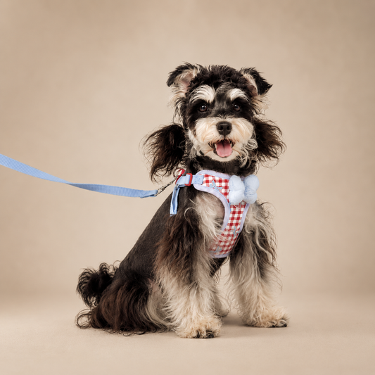 Soft Plaid Puppy Vest Harness and Leash Set