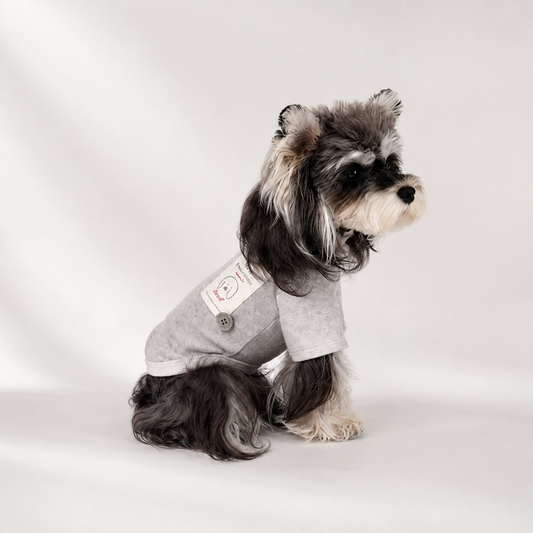 Minimalist Dog Turtleneck Shirt for Small Dogs | Soft Warm Pet Sweater