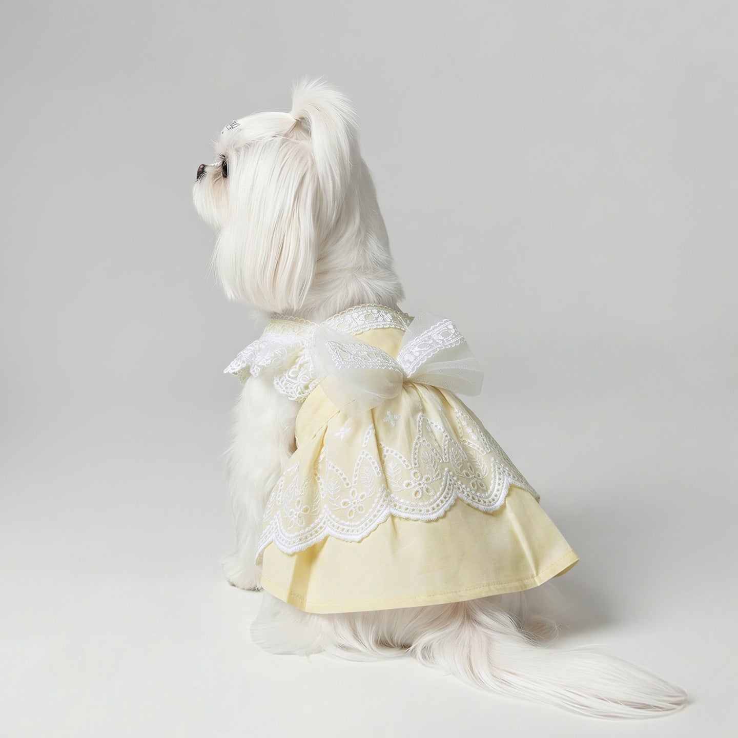 Cute Princess Thin Dress for Maltese, Yorkshire Terrier & Small Breed Dogs, Lightweight Spring & Summer Pet Clothing