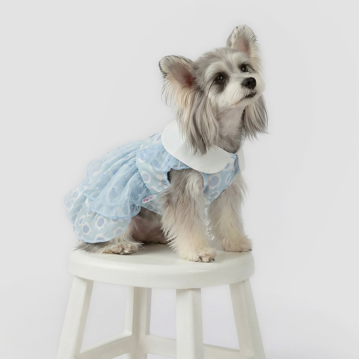 Pet Clothing for Small Dogs, Spring & Summer