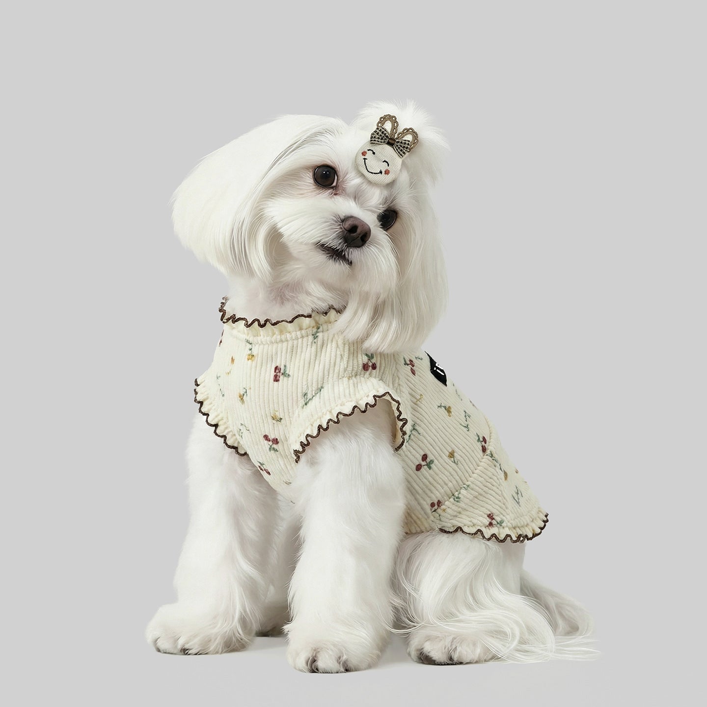 Spring & Summer Pet Clothing for Small Dogs