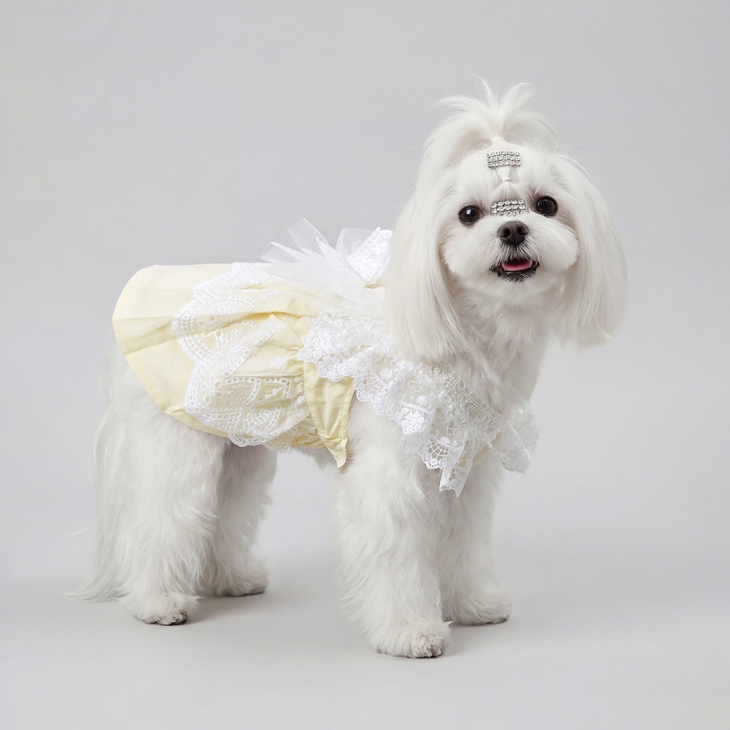 Cute Princess Thin Dress for Maltese, Yorkshire Terrier & Small Breed Dogs, Lightweight Spring & Summer Pet Clothing