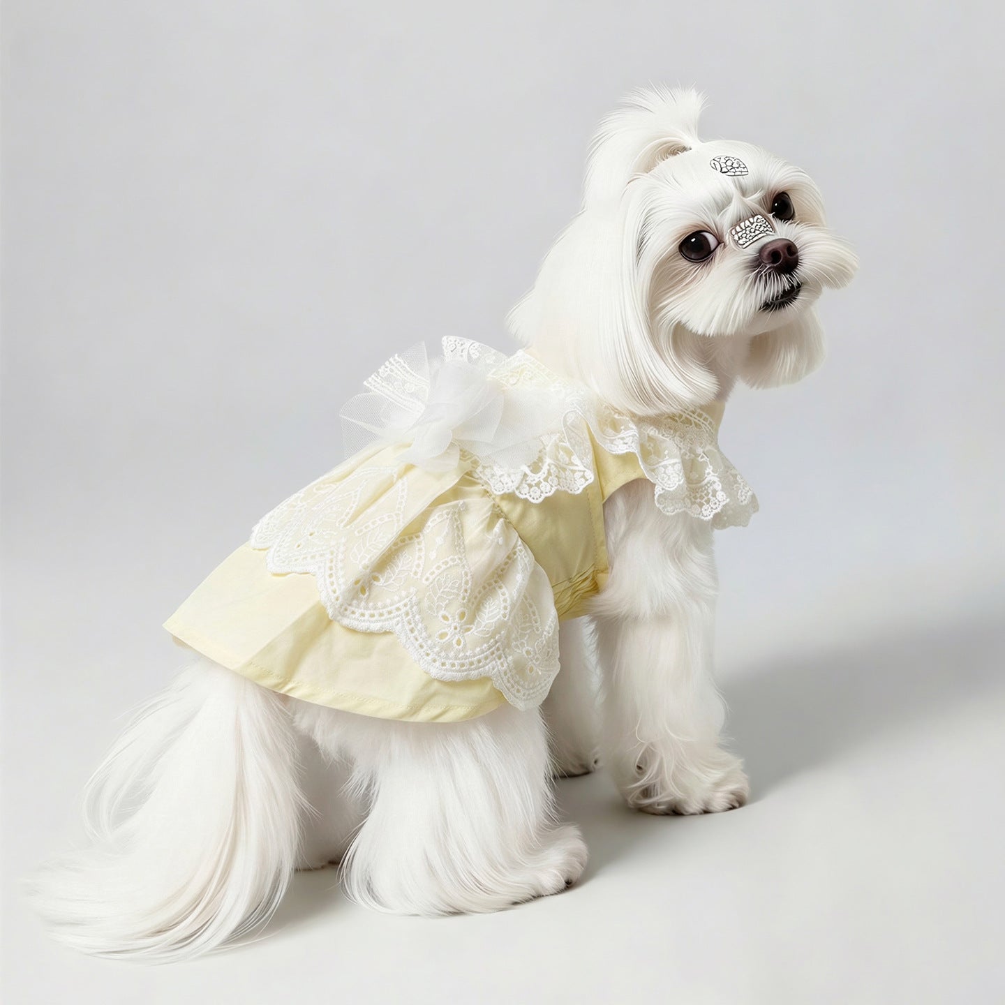 Cute Princess Thin Dress for Maltese, Yorkshire Terrier & Small Breed Dogs, Lightweight Spring & Summer Pet Clothing