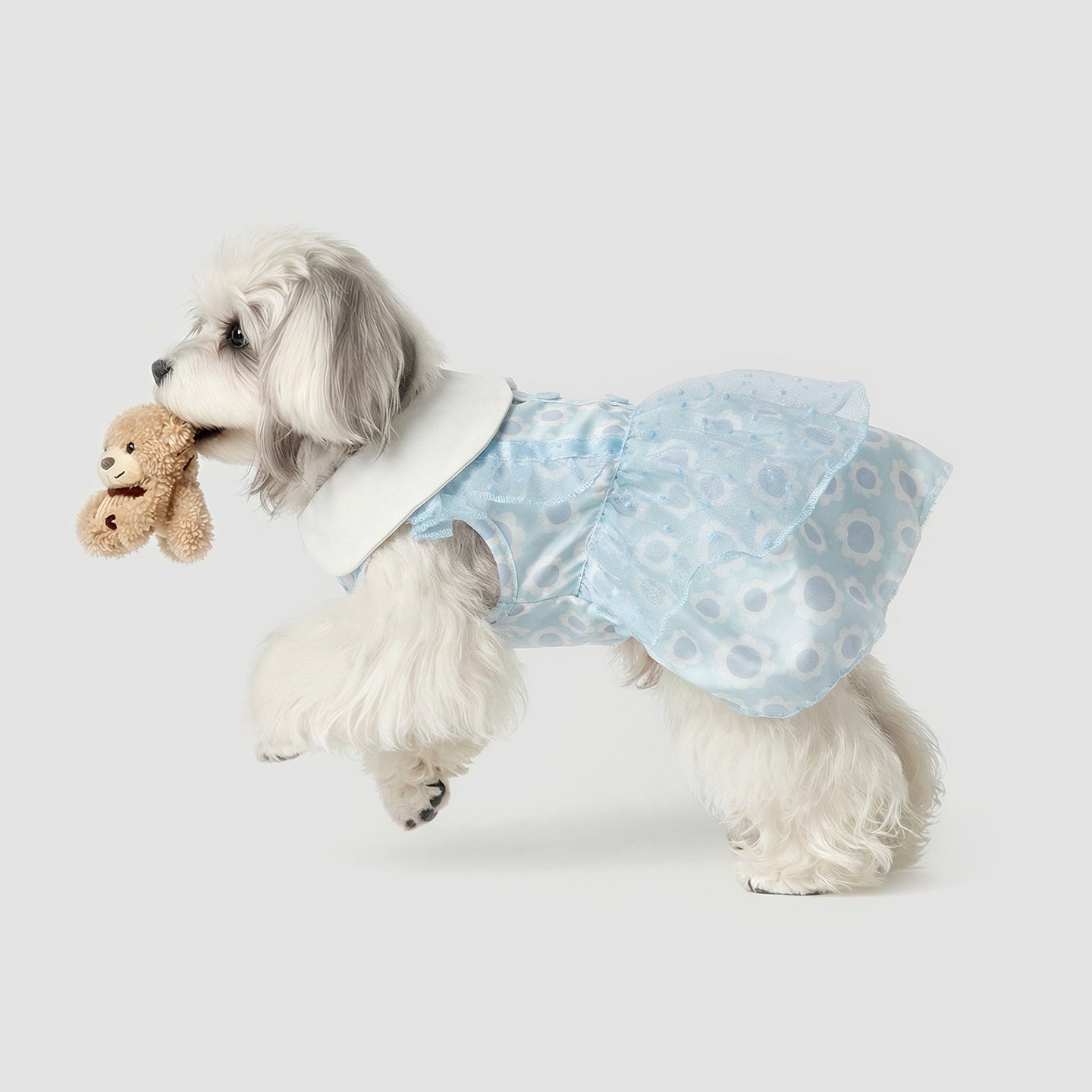 Pet Clothing for Small Dogs, Spring & Summer