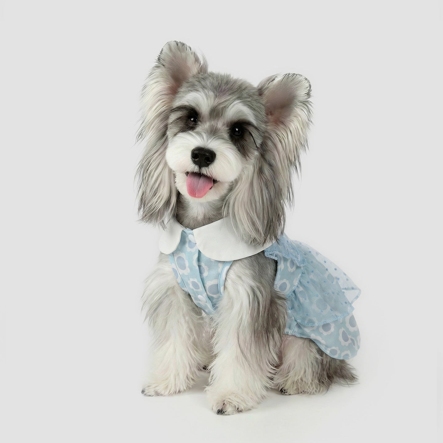 Pet Clothing for Small Dogs, Spring & Summer