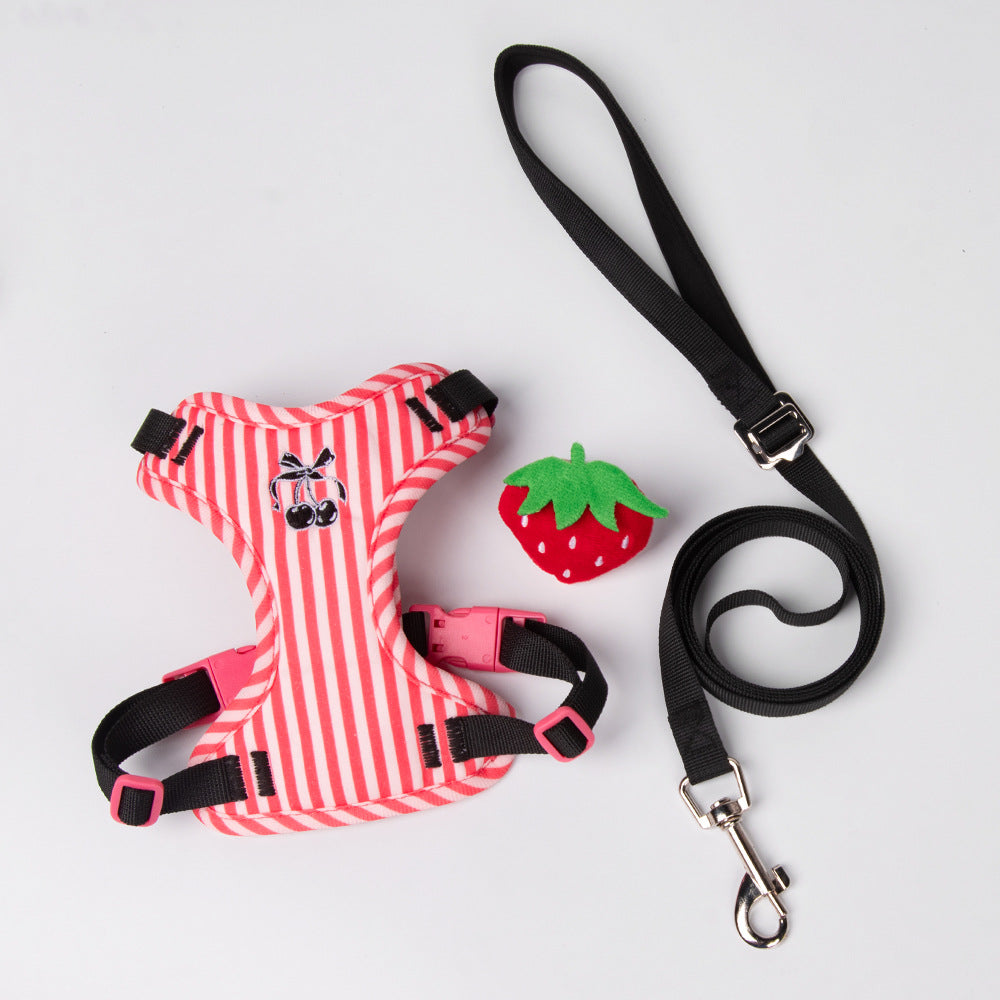 Anti-Escape Harness with Leash for Small Dogs