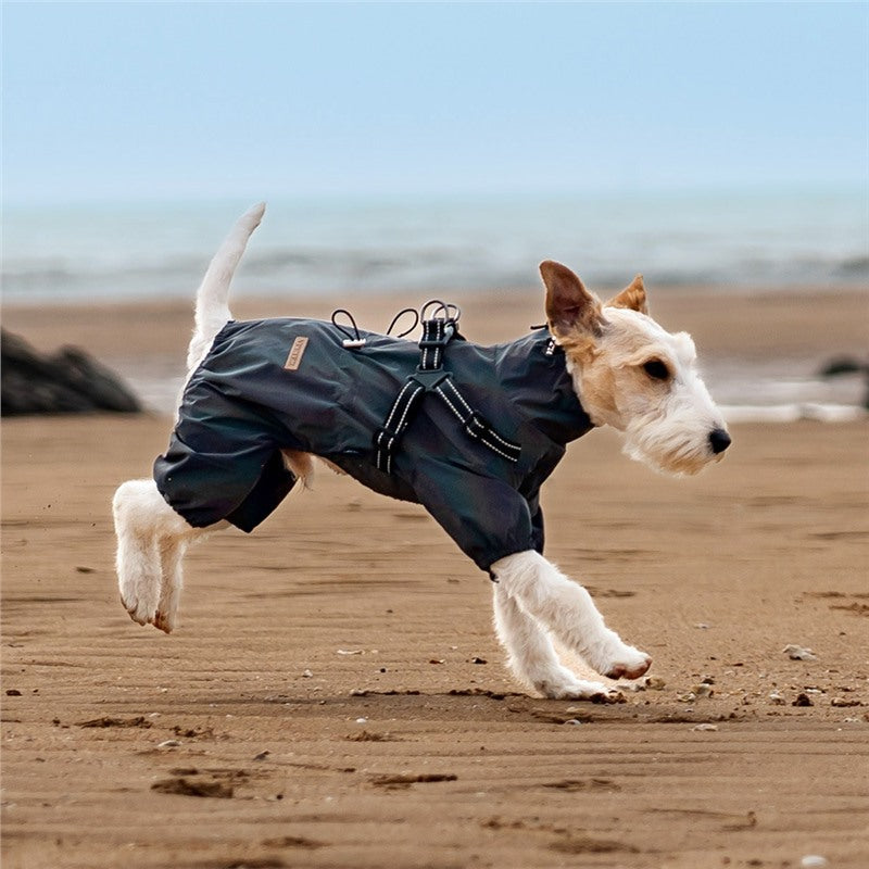 Waterproof 4-Leg Pet Clothes with Integrated Harness & Leash Attachment