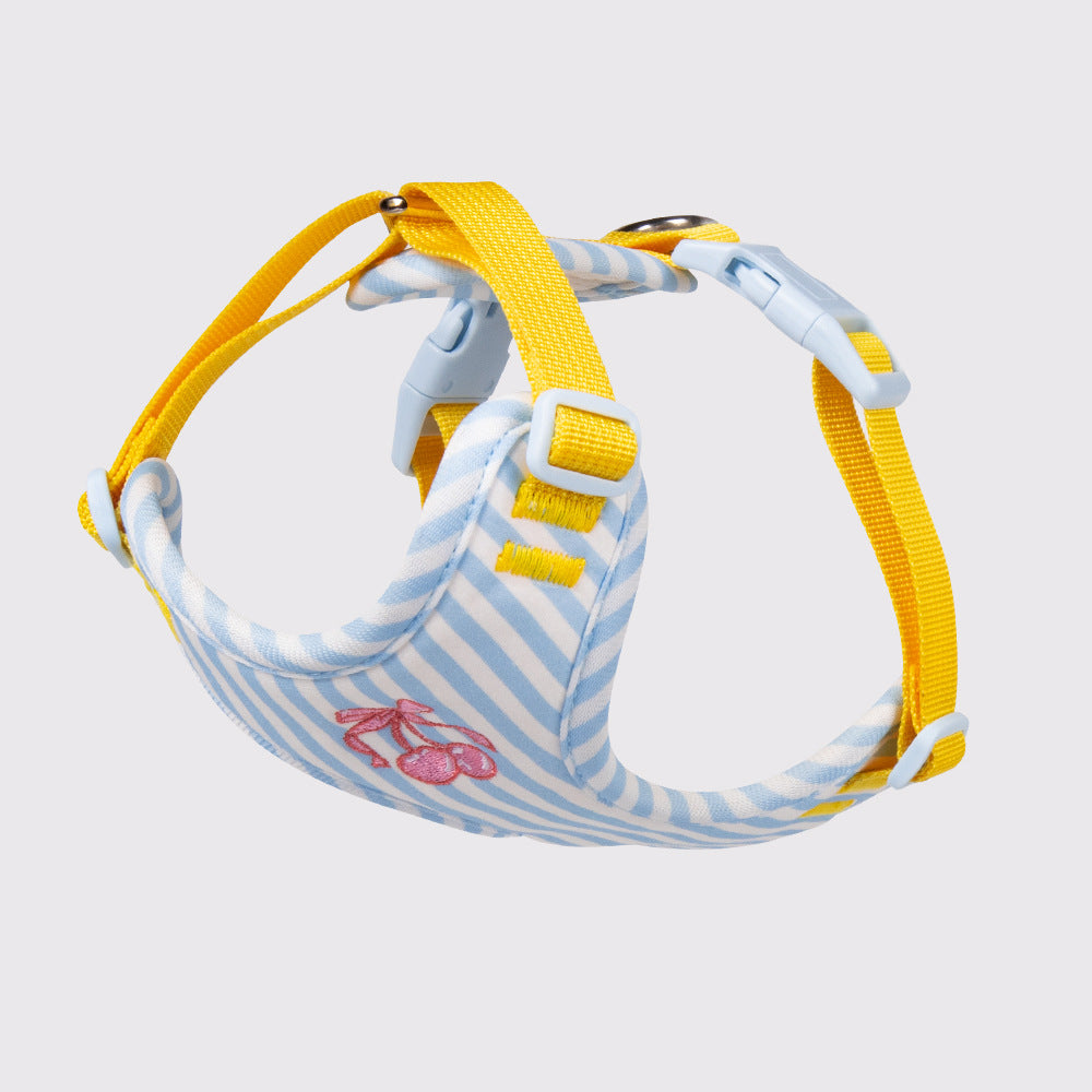 Anti-Escape Harness with Leash for Small Dogs