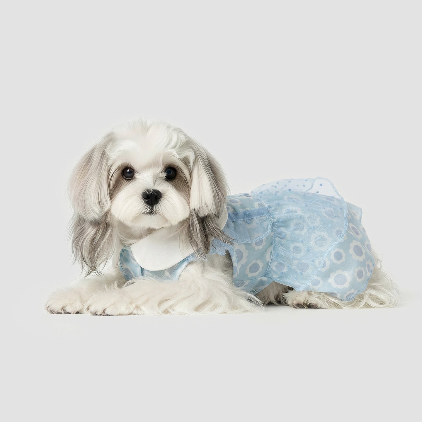 Pet Clothing for Small Dogs, Spring & Summer