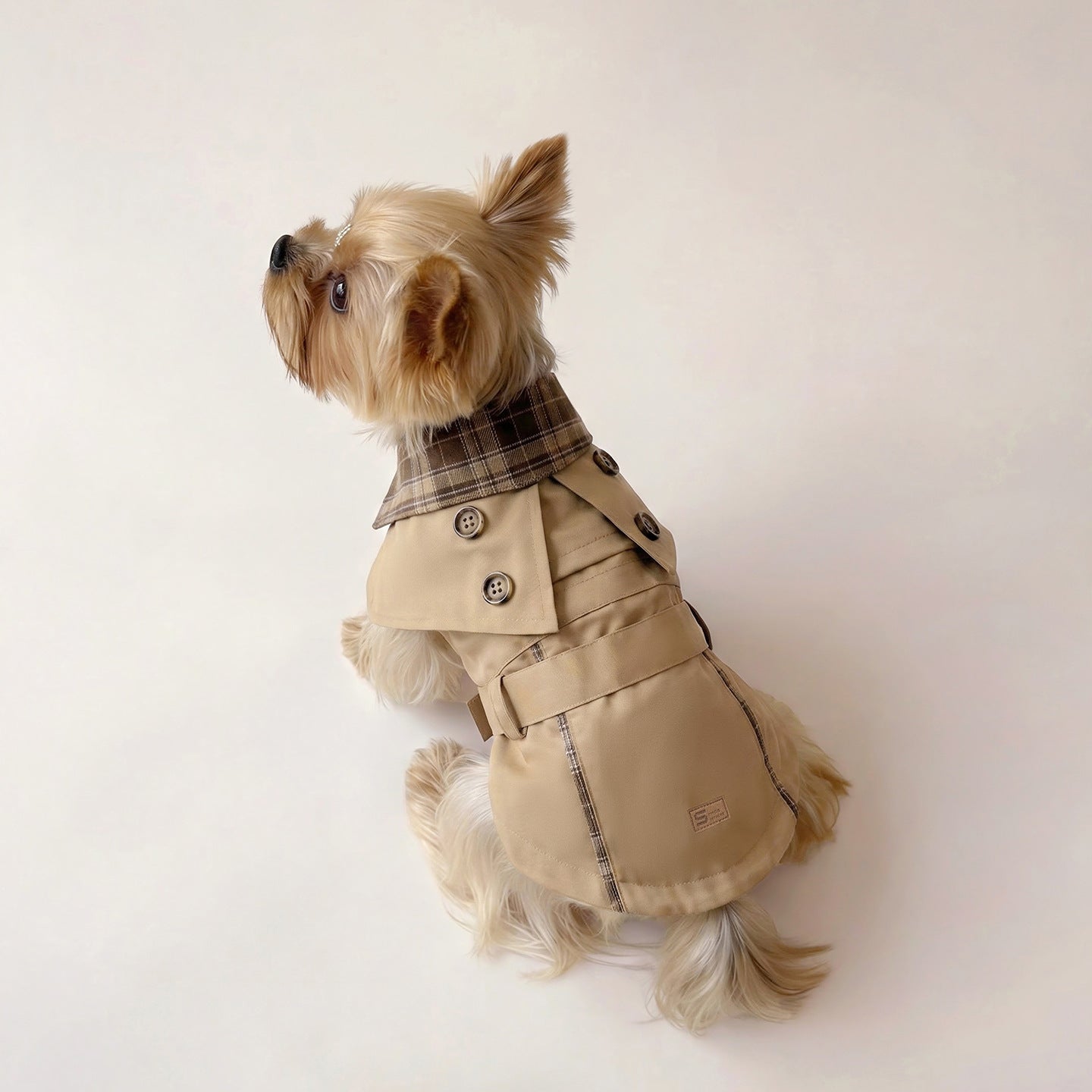 British Retro Style Clothing for Small Dogs, Spring & Summer
