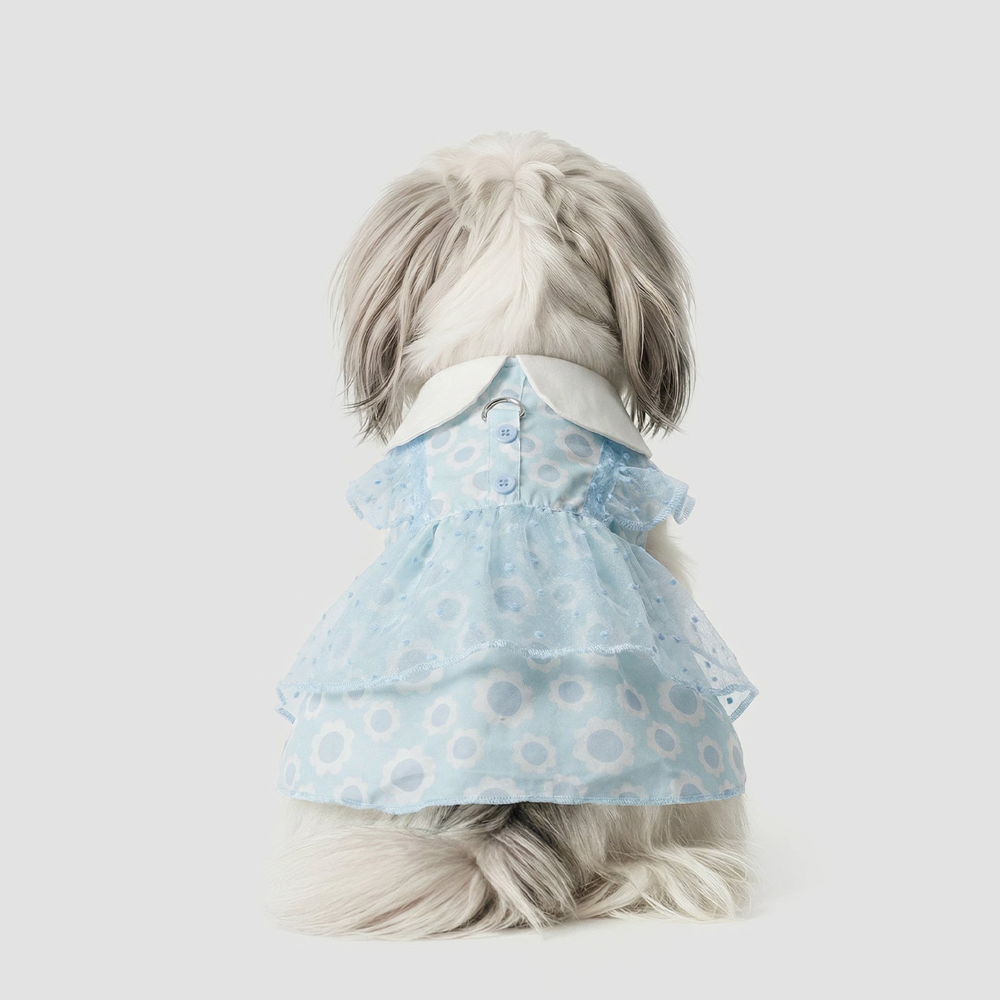 Pet Clothing for Small Dogs, Spring & Summer