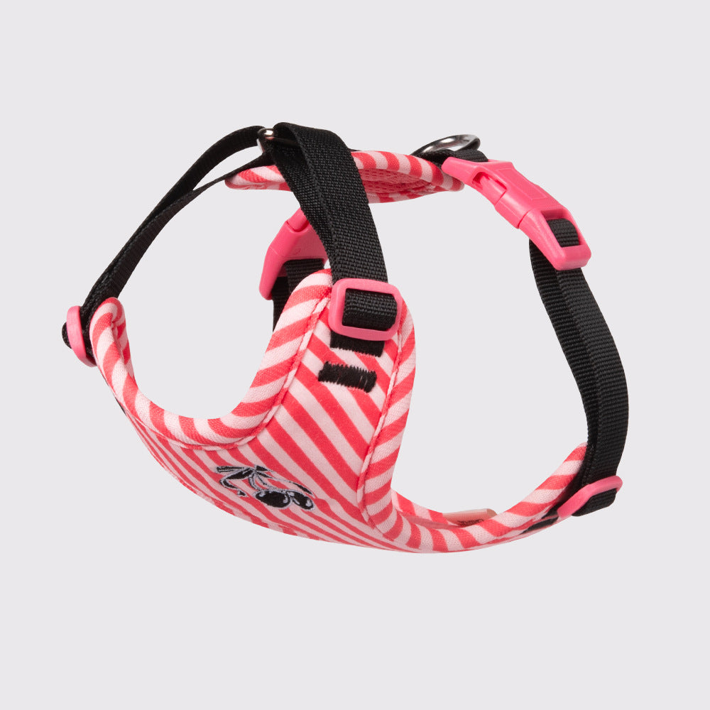 Anti-Escape Harness with Leash for Small Dogs