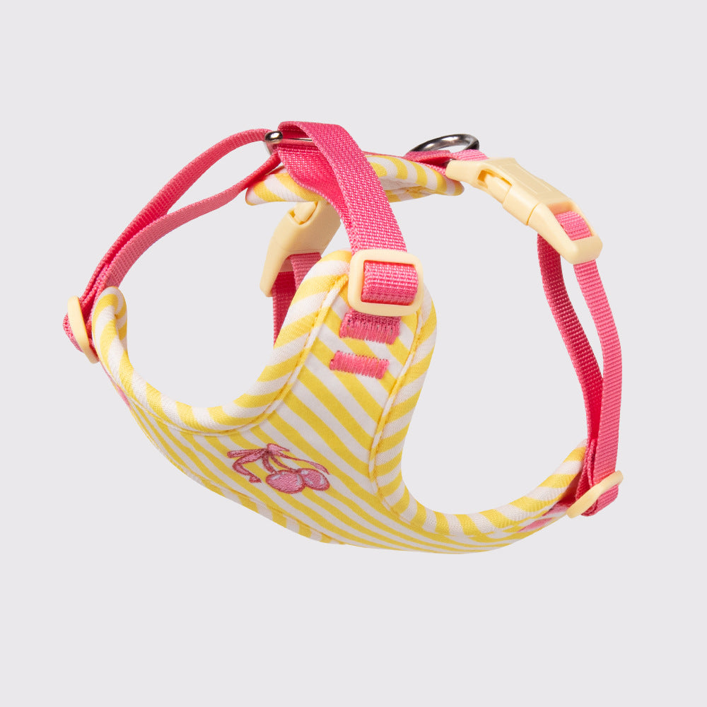 Anti-Escape Harness with Leash for Small Dogs