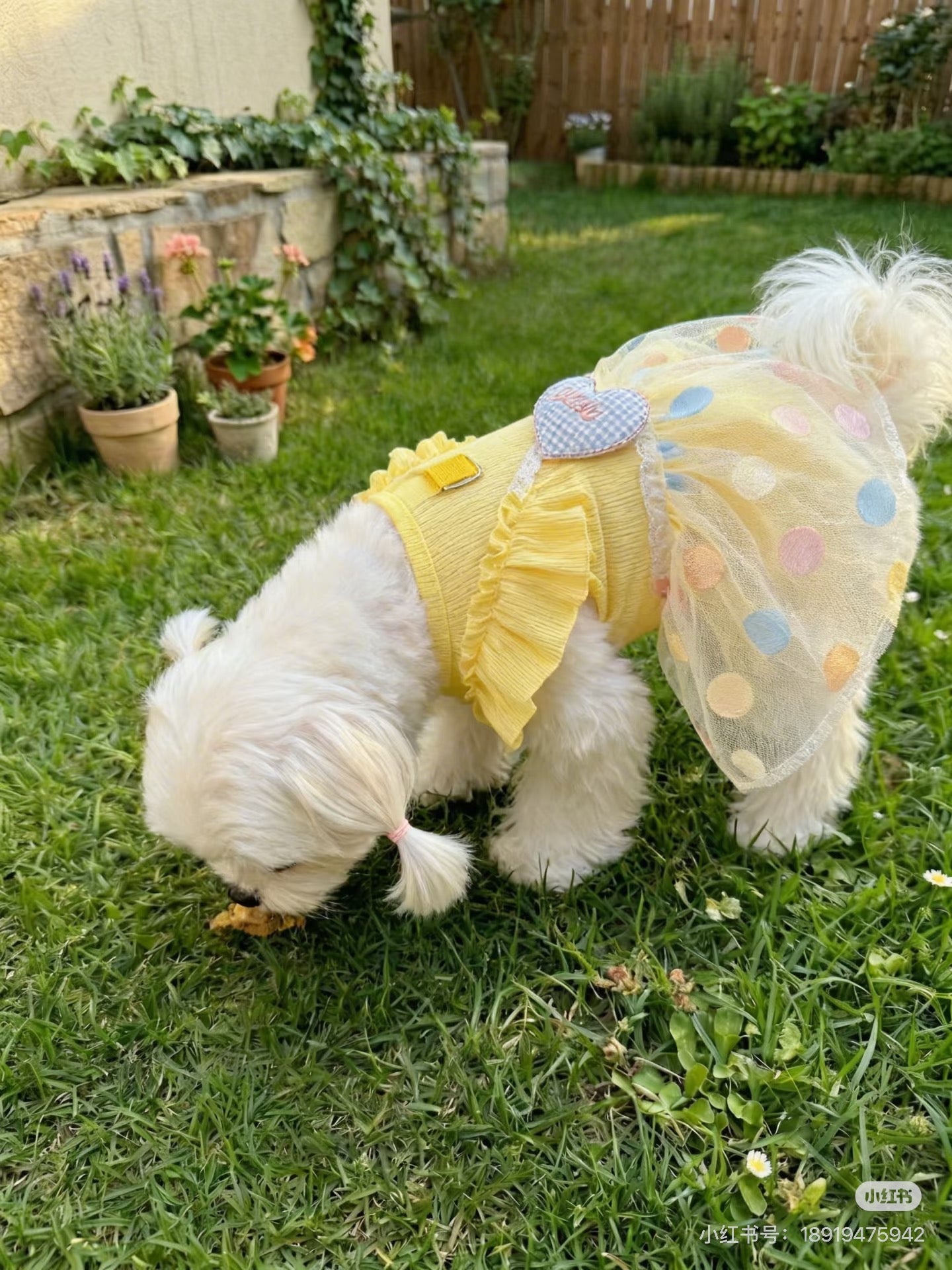 Spring and Summer Thin Ice Silk Sun Protection Clothing for Cats and Dogs