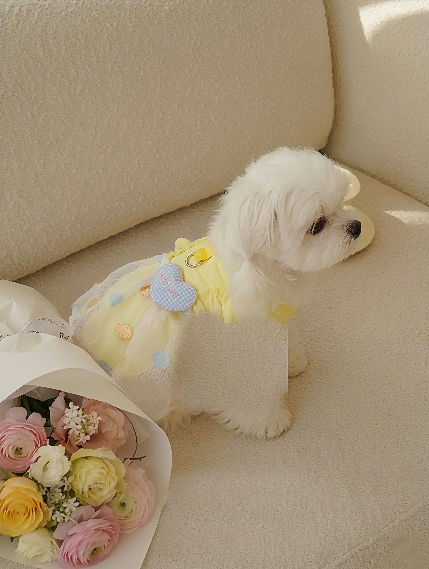 Spring and Summer Thin Ice Silk Sun Protection Clothing for Cats and Dogs