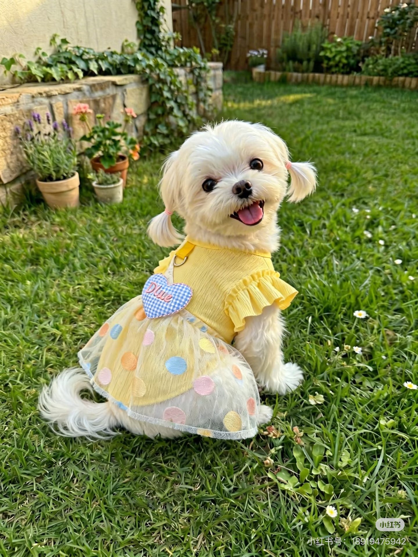 Spring and Summer Thin Ice Silk Sun Protection Clothing for Cats and Dogs