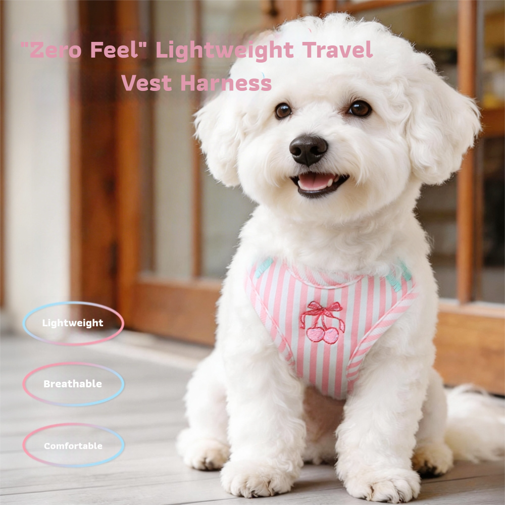 Anti-Escape Harness with Leash for Small Dogs
