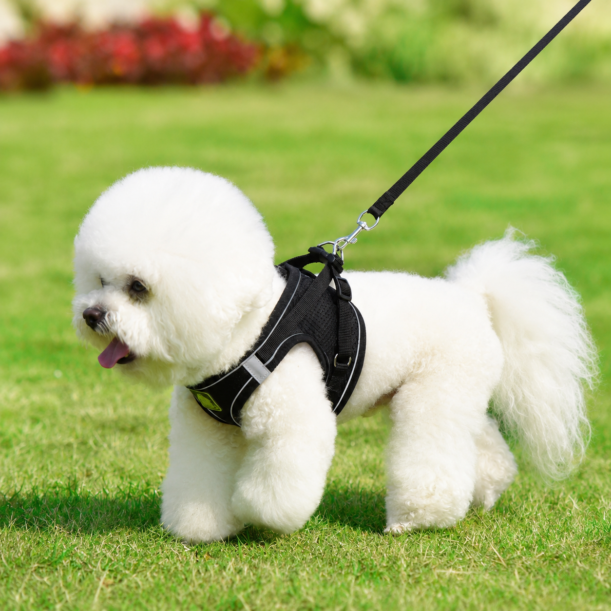 Breathable Reflective Dog Harness