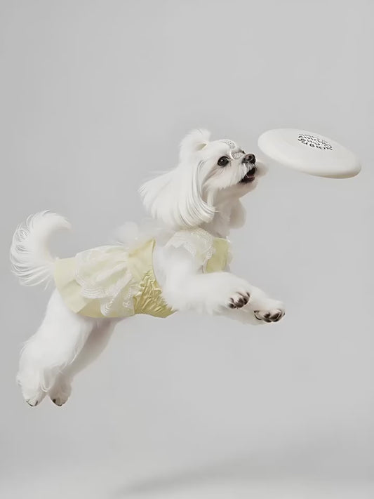 Cute Princess Thin Dress for Maltese, Yorkshire Terrier & Small Breed Dogs, Lightweight Spring & Summer Pet Clothing