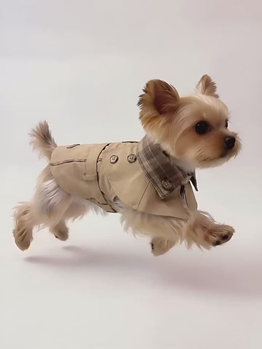 British Retro Style Clothing for Small Dogs, Spring & Summer