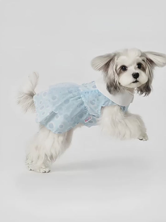 Pet Clothing for Small Dogs, Spring & Summer
